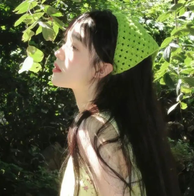 森林进化论